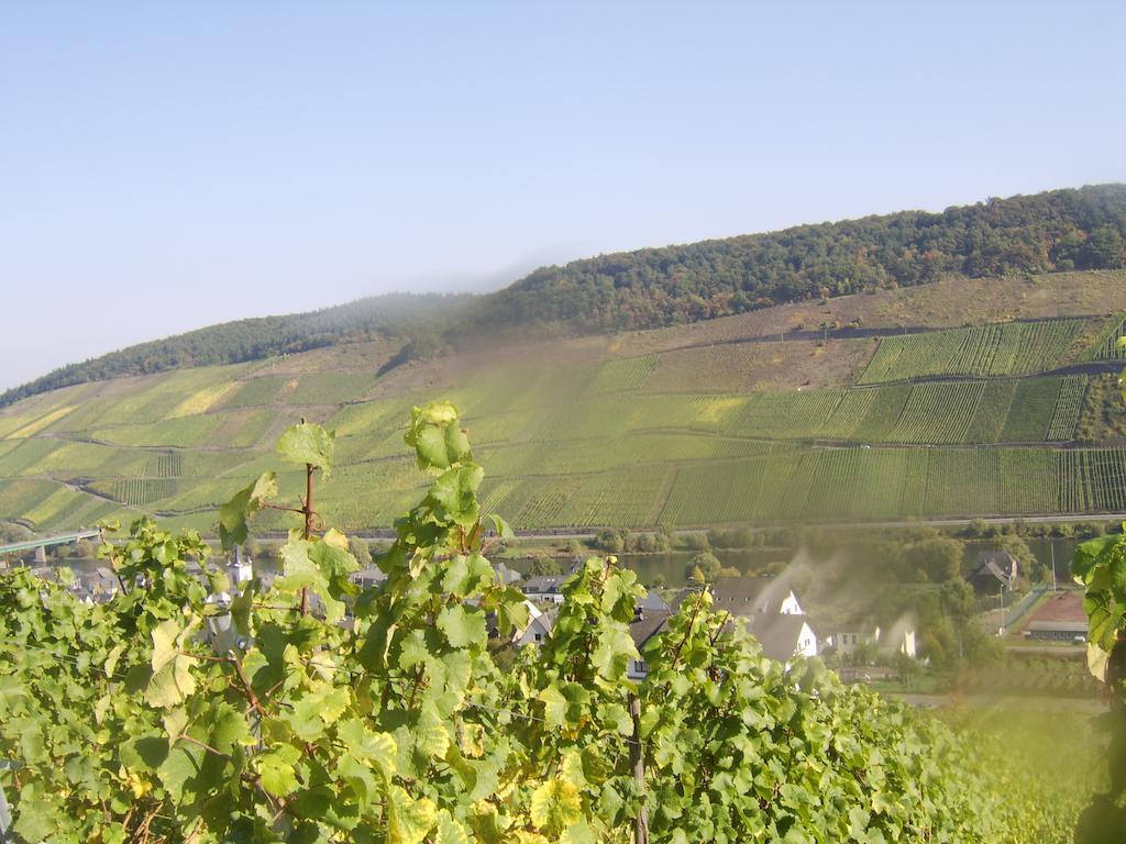 Weingut Matthias Dauns Apartment Reil Exterior photo