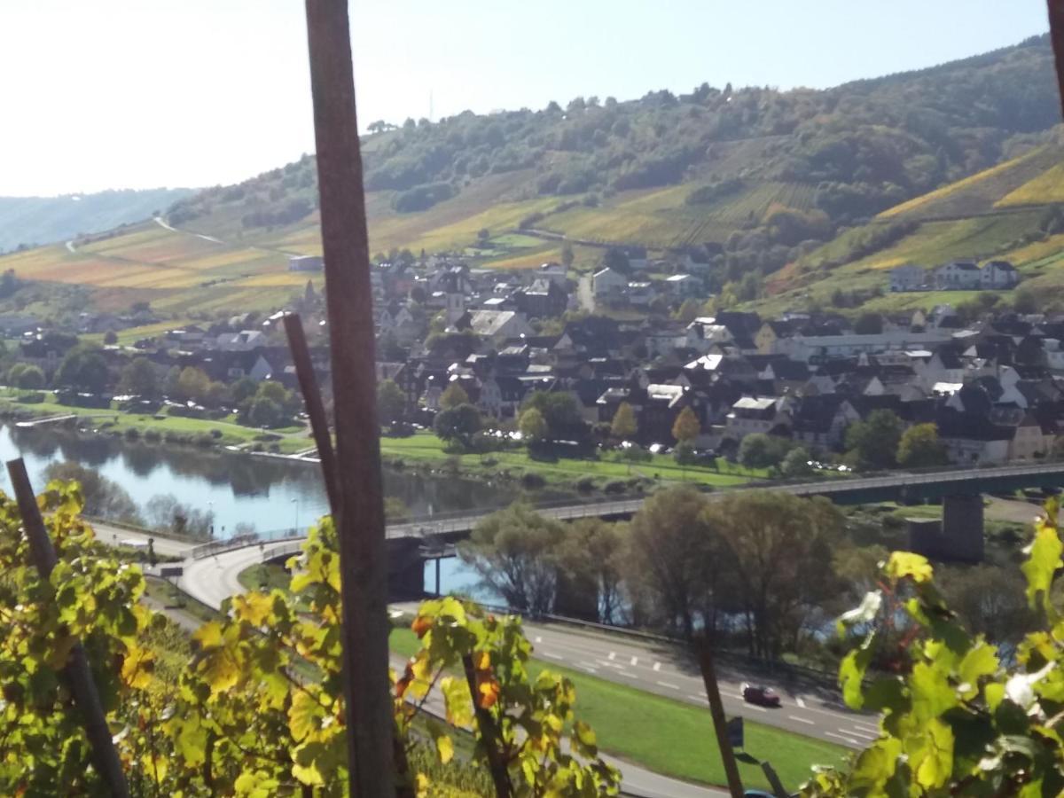 Weingut Matthias Dauns Apartment Reil Exterior photo